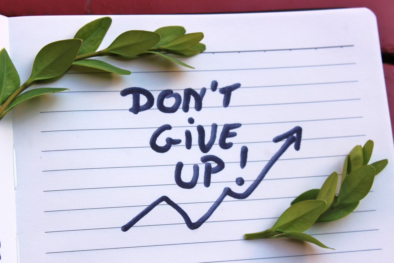 dont-give-up-3403779_1280.jpg (184,91 kB)